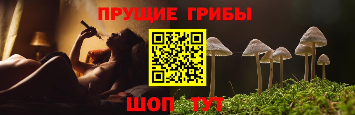 Псилоцибиновые грибы MAGIC MUSHROOMS Балабаново